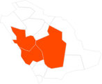 Riyadh, Rabigh & Yanbu | Master Gas Pipeline Corridor Washout Protection